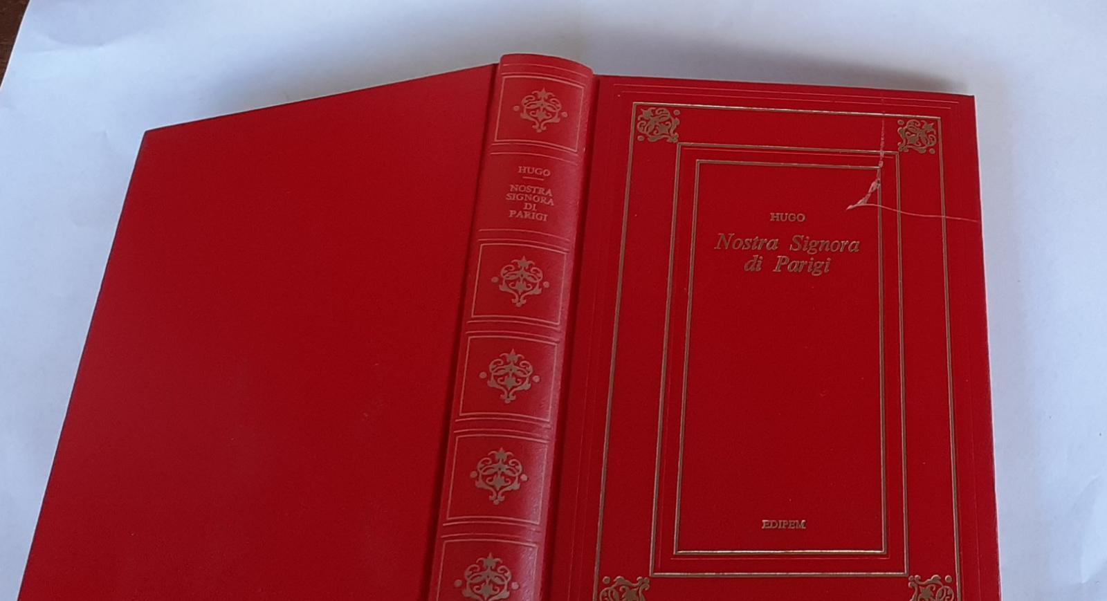 Nostra signora di Parigi