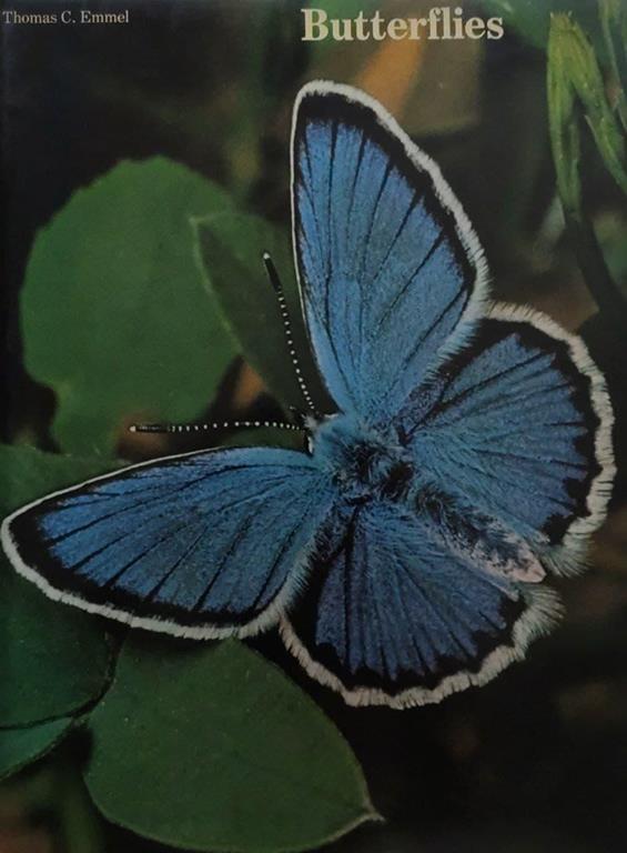 Librisaggi