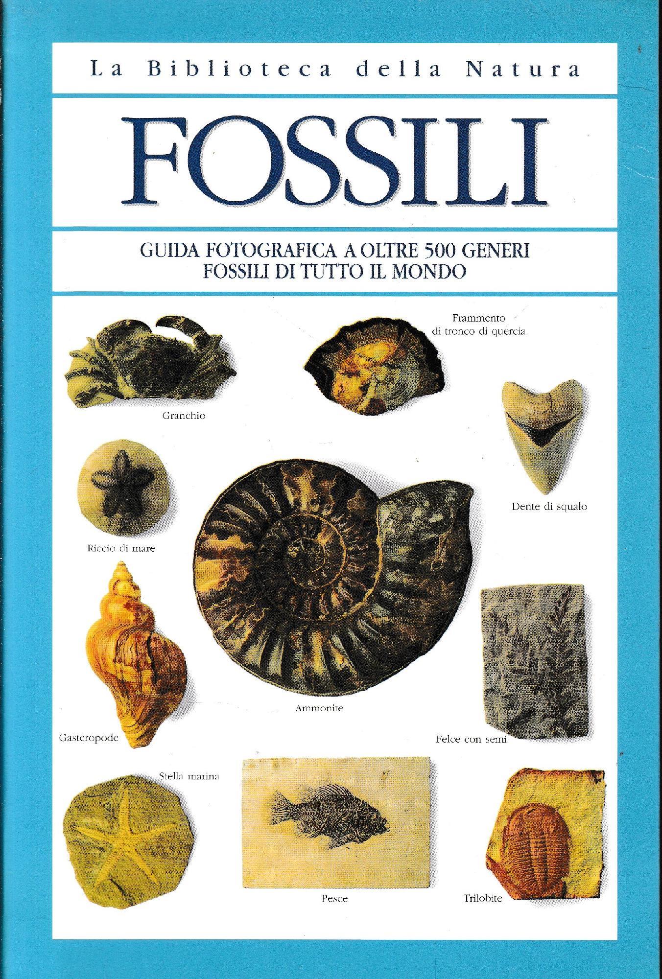 Librisaggi