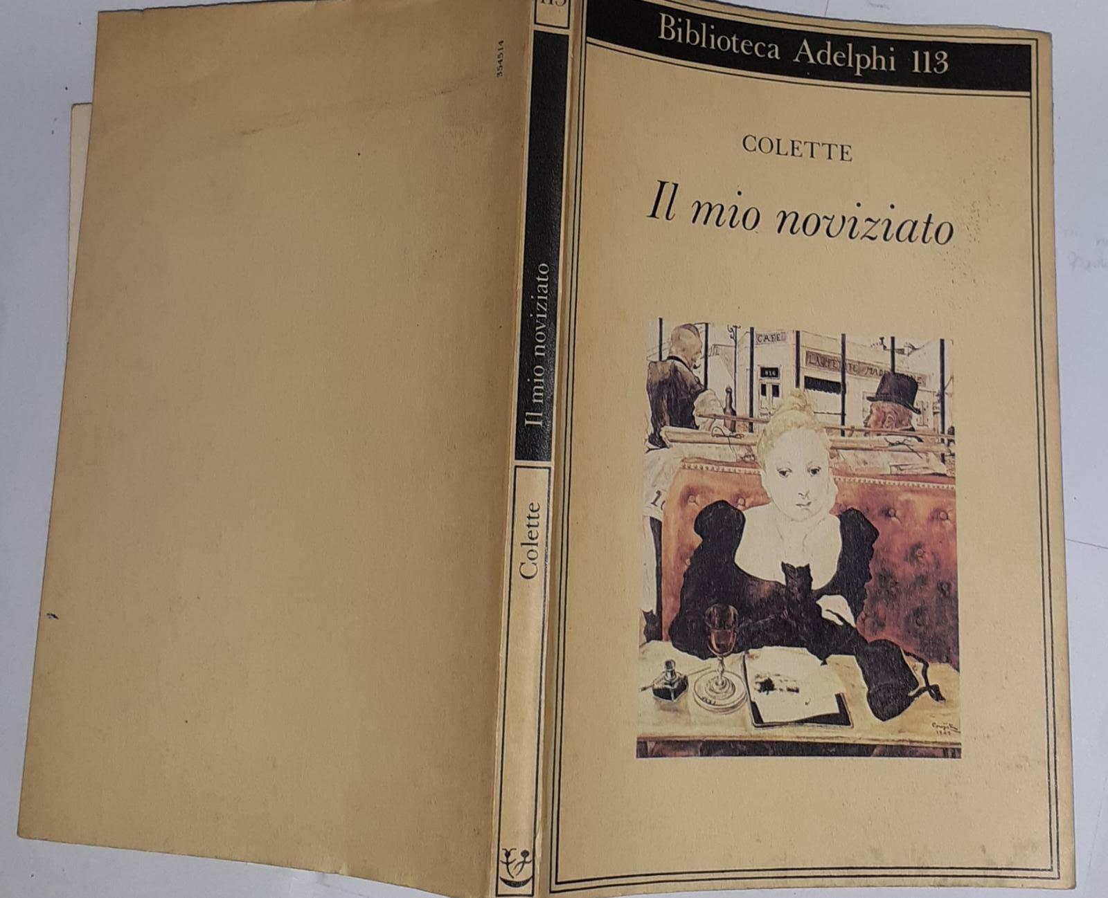Il mio noviziato