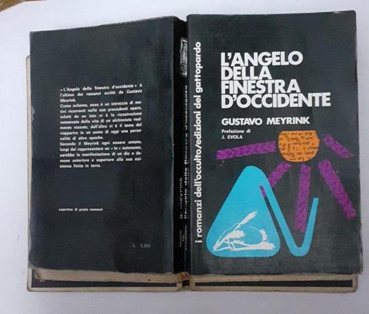 L' angelo della finestra d'Occidente - copertina
