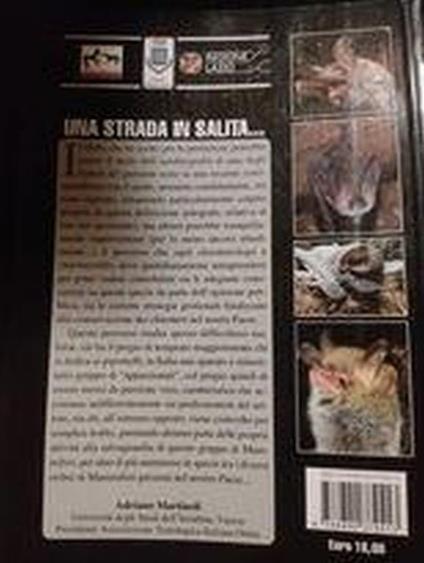 I chirotteri del parco regionale Marturanum - copertina