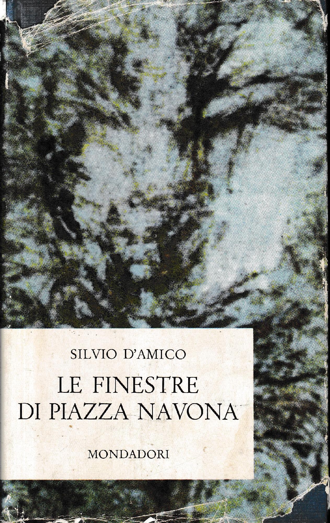 Le  finestre di Piazza Navona