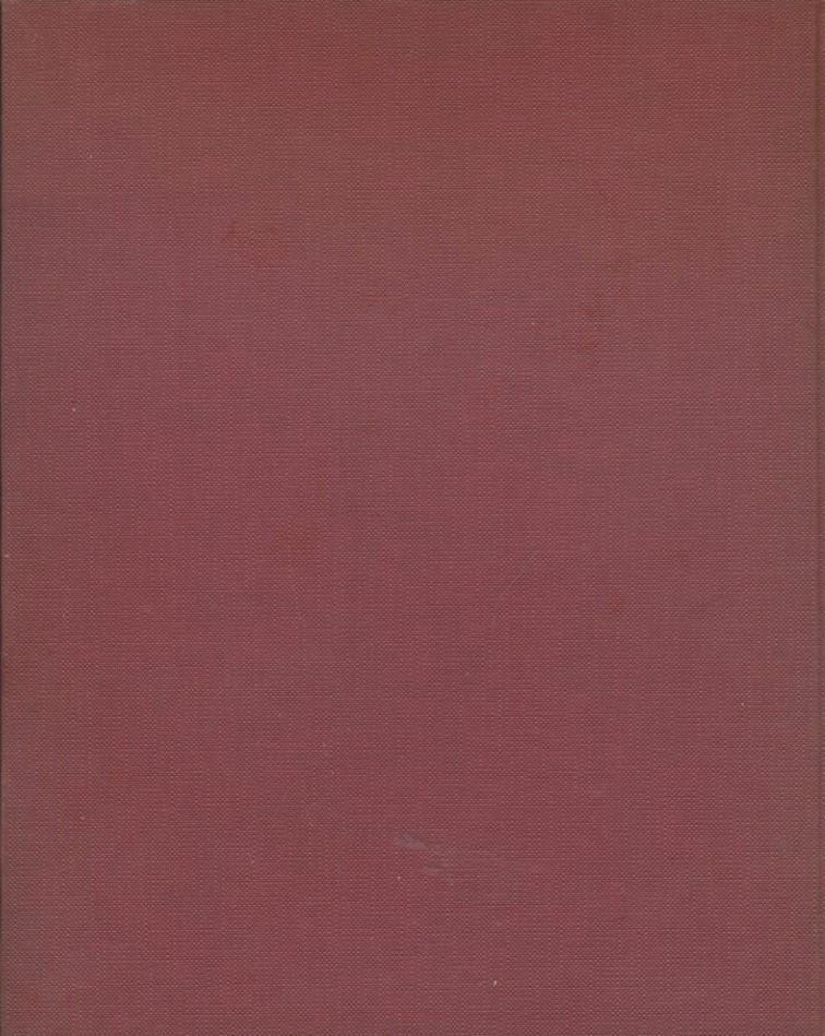 L' uomo delle caverne