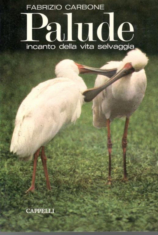 Libreria del Professore