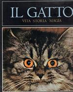 Il  gatto, vita, storia, magia