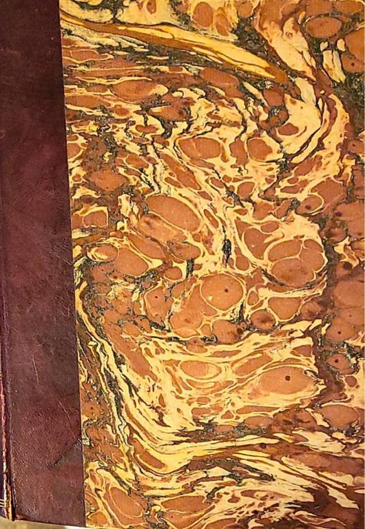 Libreria del Professore