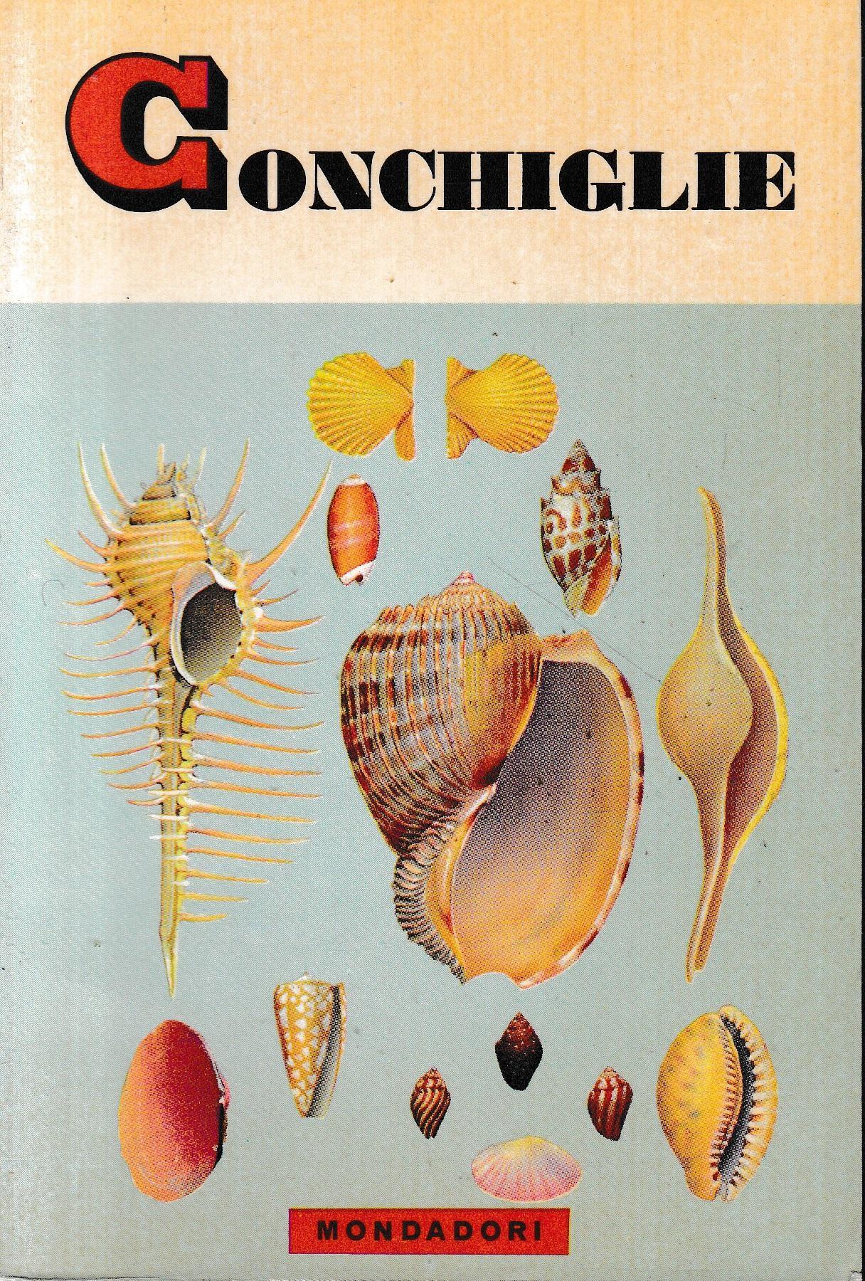 Conchiglie
