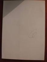 Il 2015 del professore - Giuseppe Perrotta - copertina