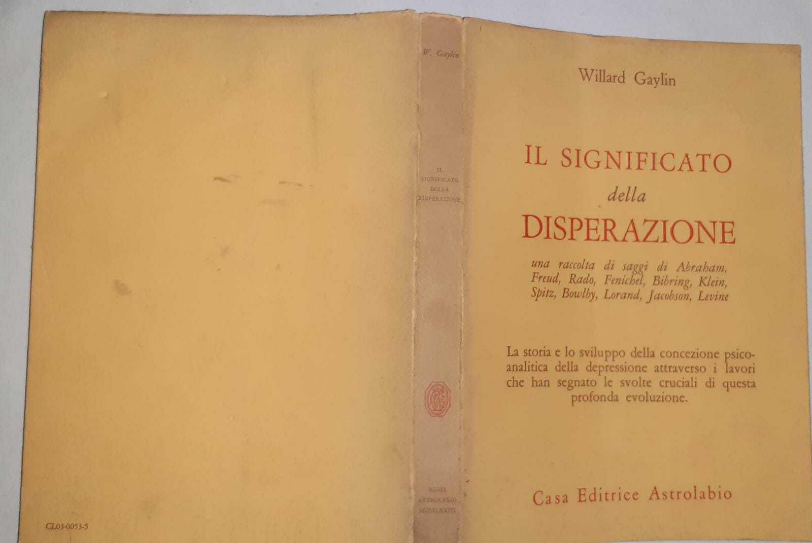 Il significato della disperazione