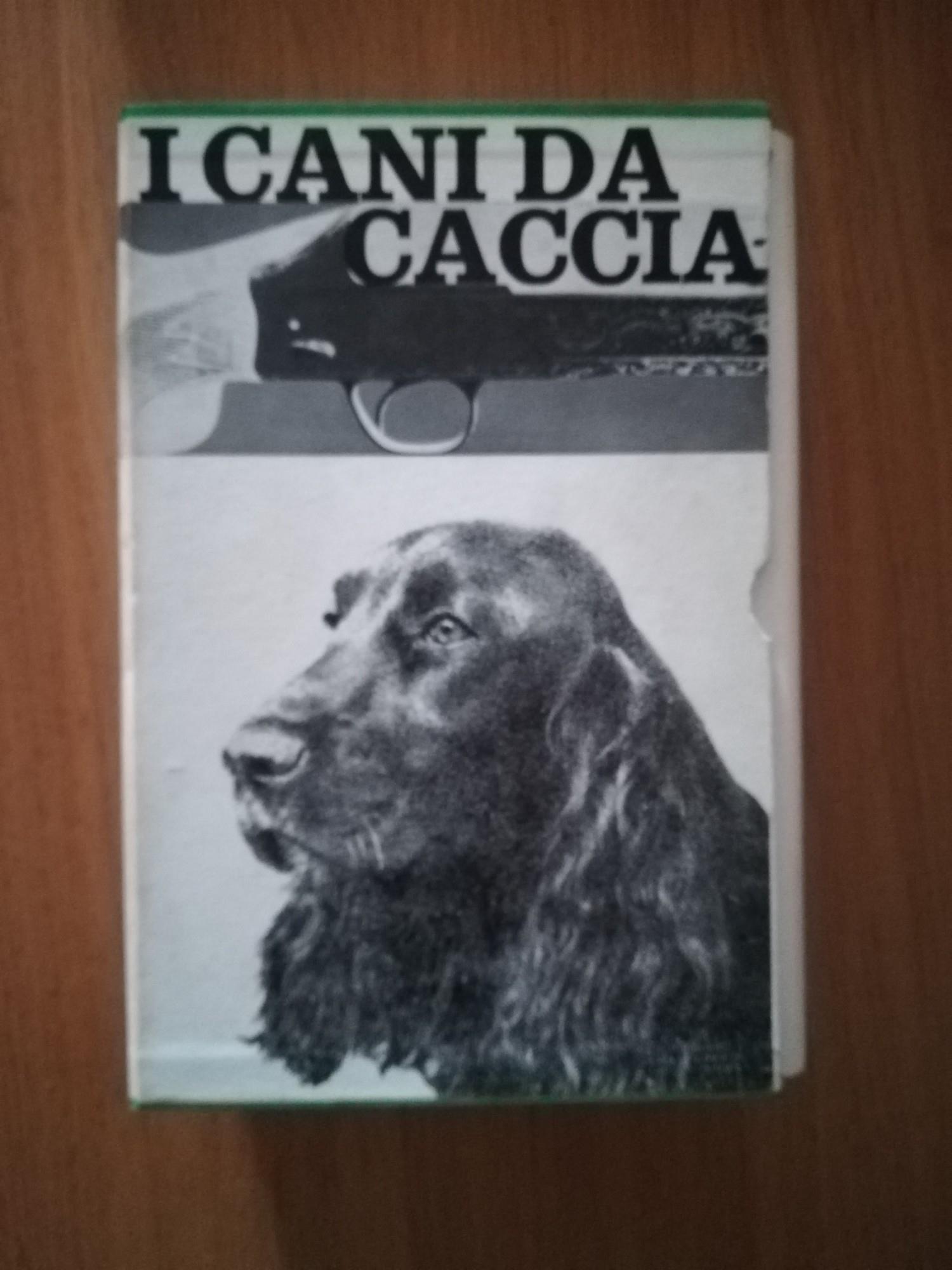 I cani da caccia