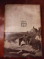 Martin Fierro - José Hernández - copertina