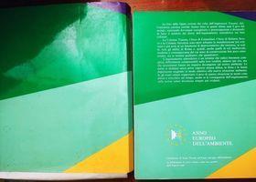 Città inquinata: i monumenti - copertina