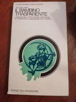 Il bambino trasparente