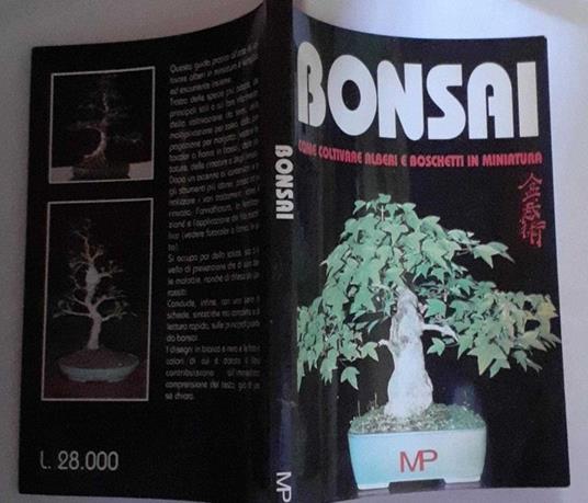 Bonsai come coltivare alberi e boschetti in miniatura - copertina