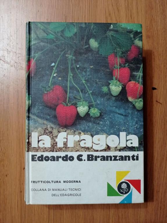 Librisaggi