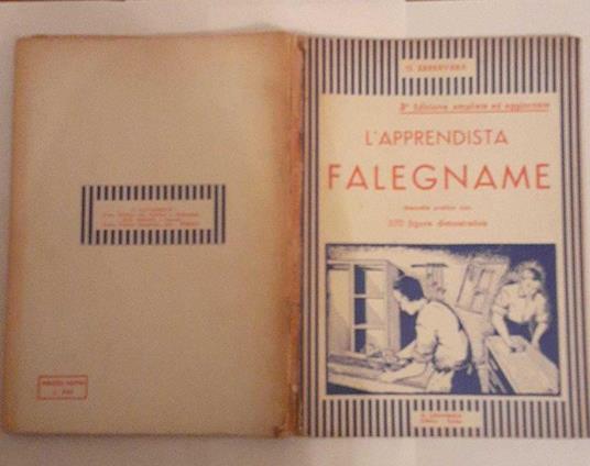 L' Apprendista falegname. Manuale pratico con 370 figure dimostrative - copertina
