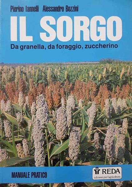 Il sorgo. Da granella, da foraggio, zuccherino - copertina