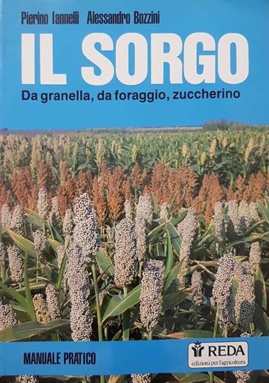 Il sorgo. Da granella, da foraggio, zuccherino - copertina