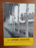 La Saperda Maggiore