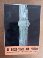 Il tarlo - vespa del pioppo