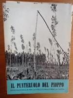 Il punteruolo del pioppo