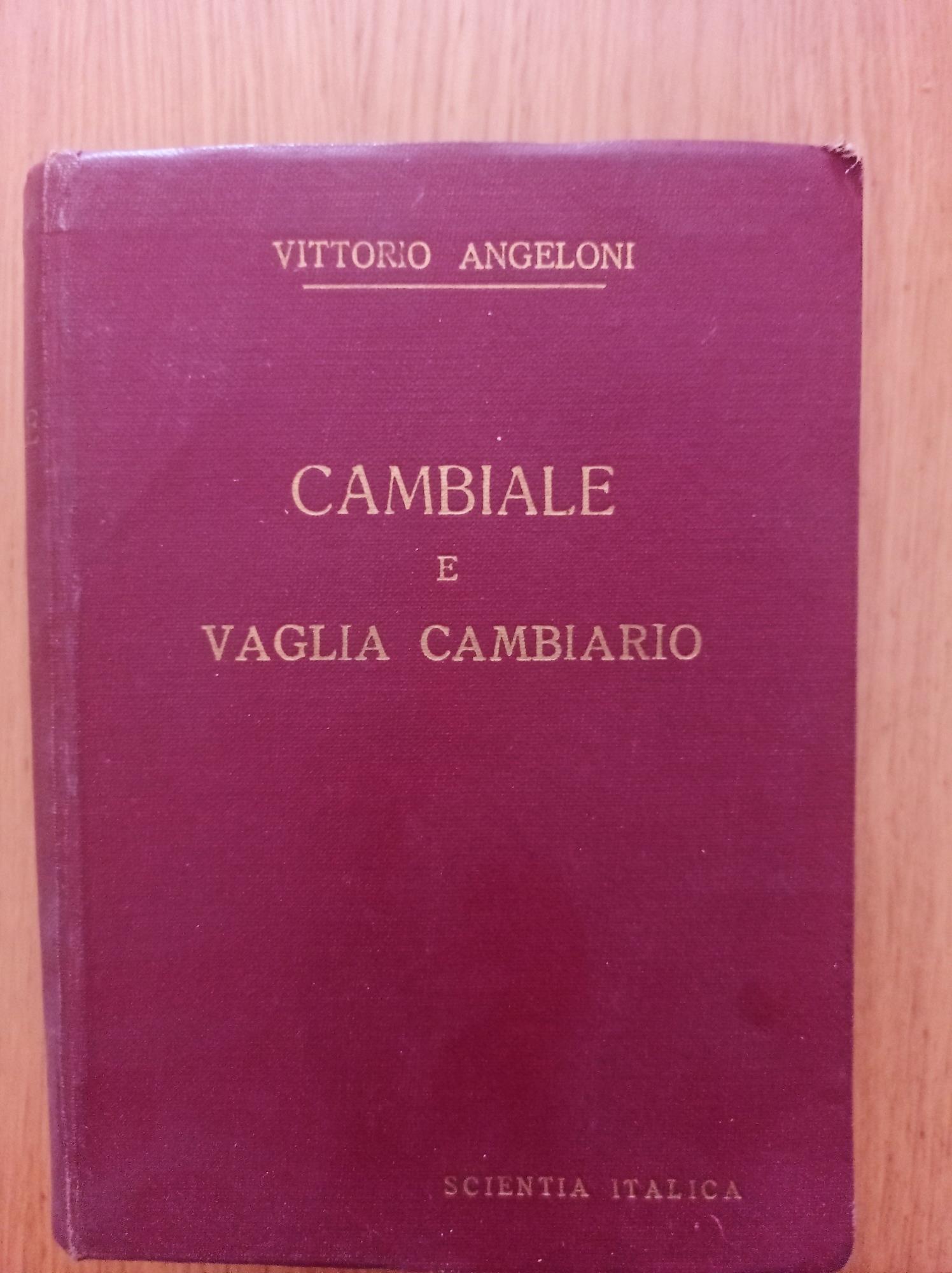 Titoli di credito cambiari 1 LA CAMBIALE E IL VAGLIA CAMBIARIO