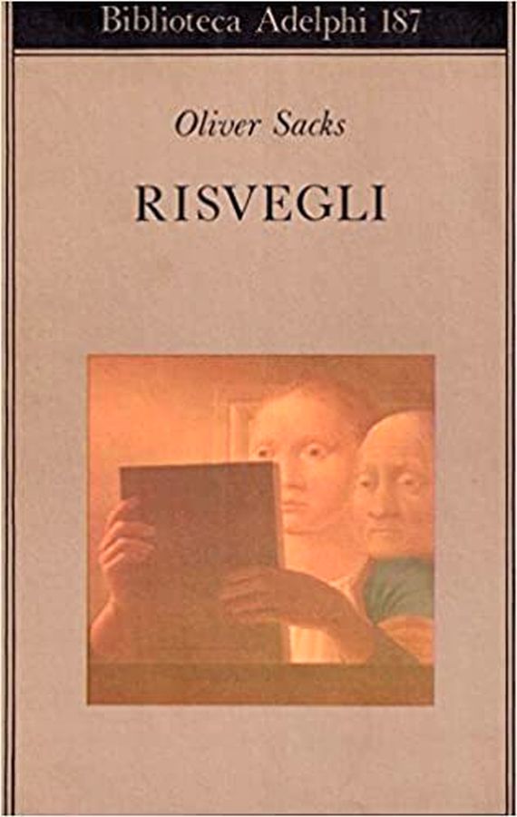Librisaggi