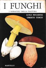 I funghi