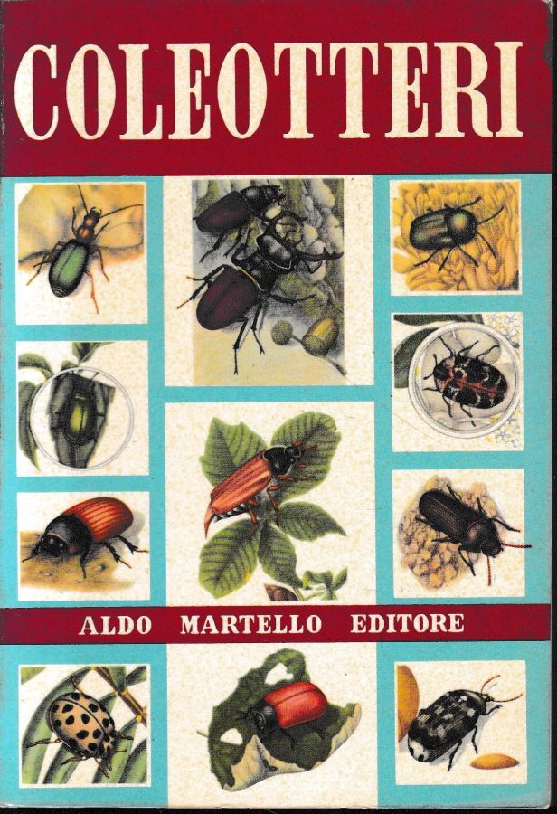 Libreria del Professore