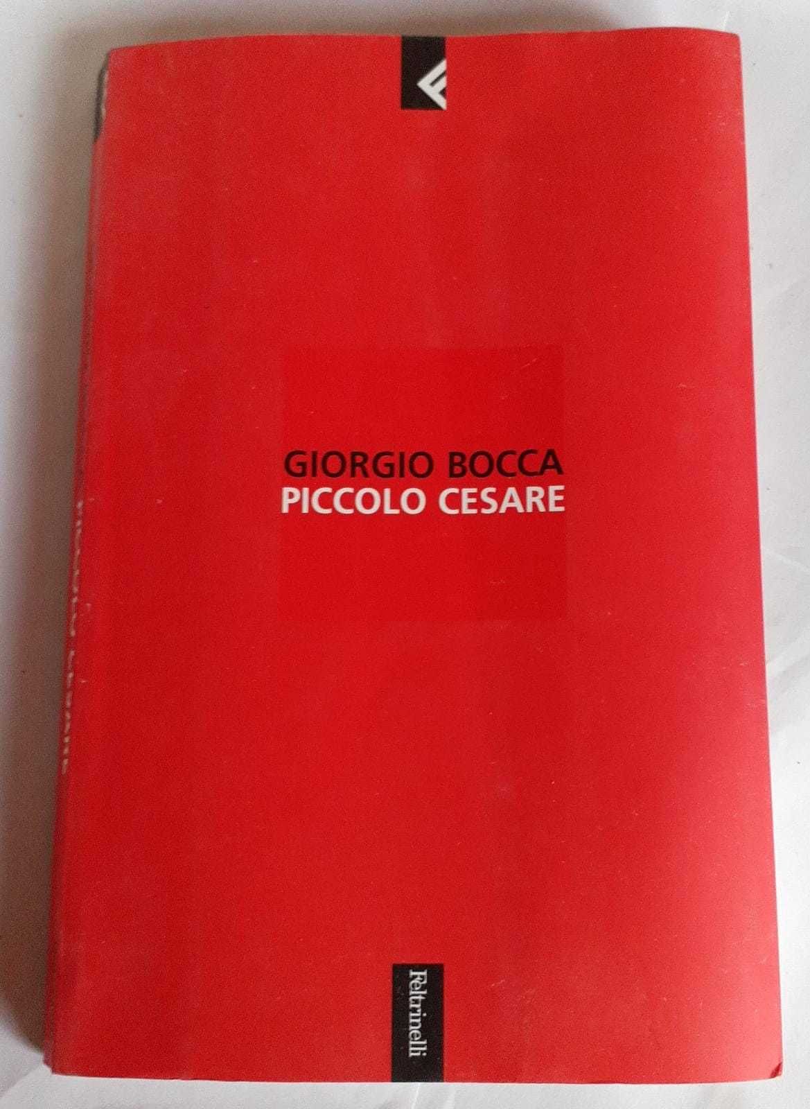 Librisaggi