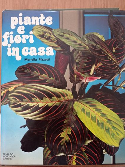 Piante e fiori in casa - Mariella Pizzetti - copertina