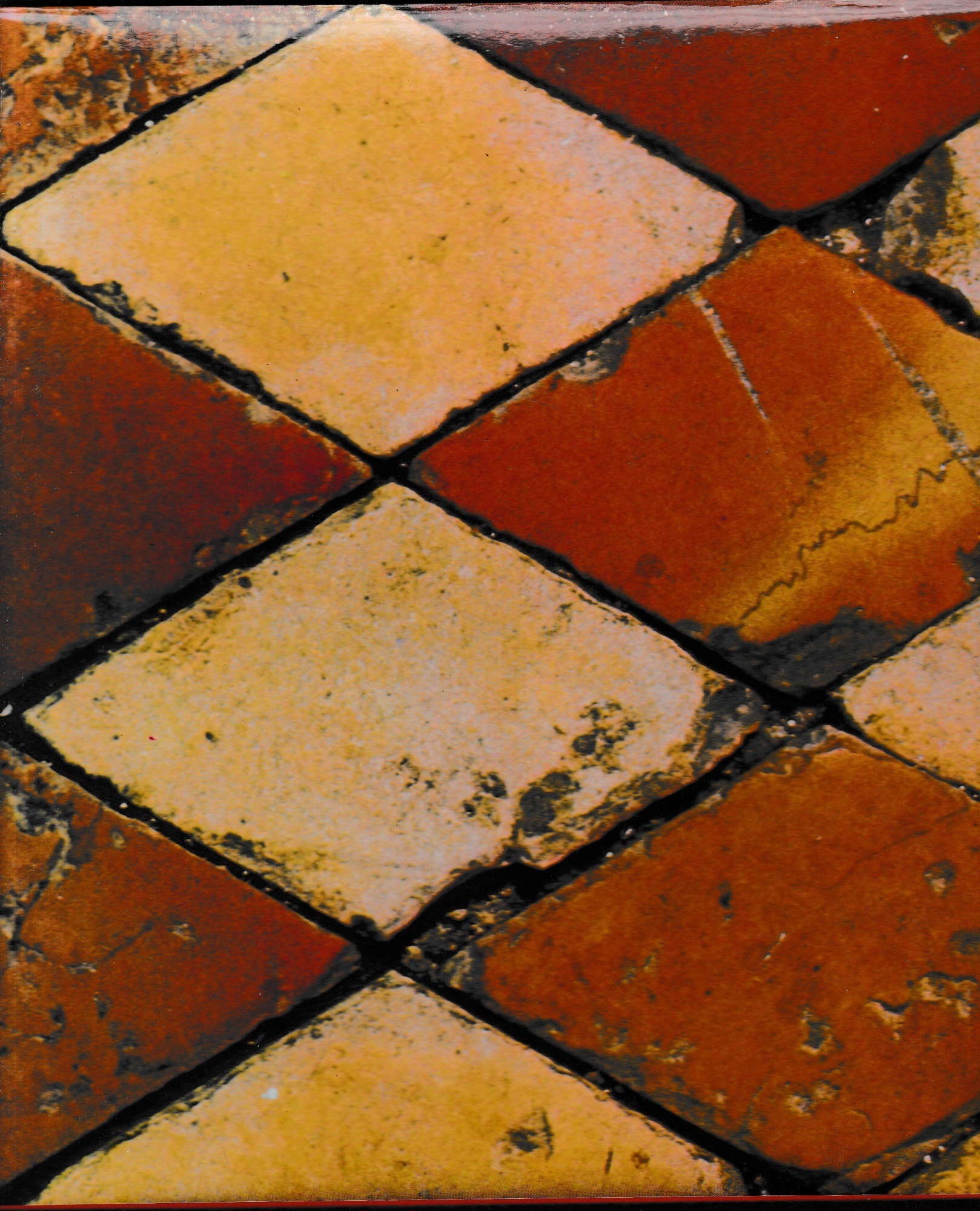 Libreria del Professore