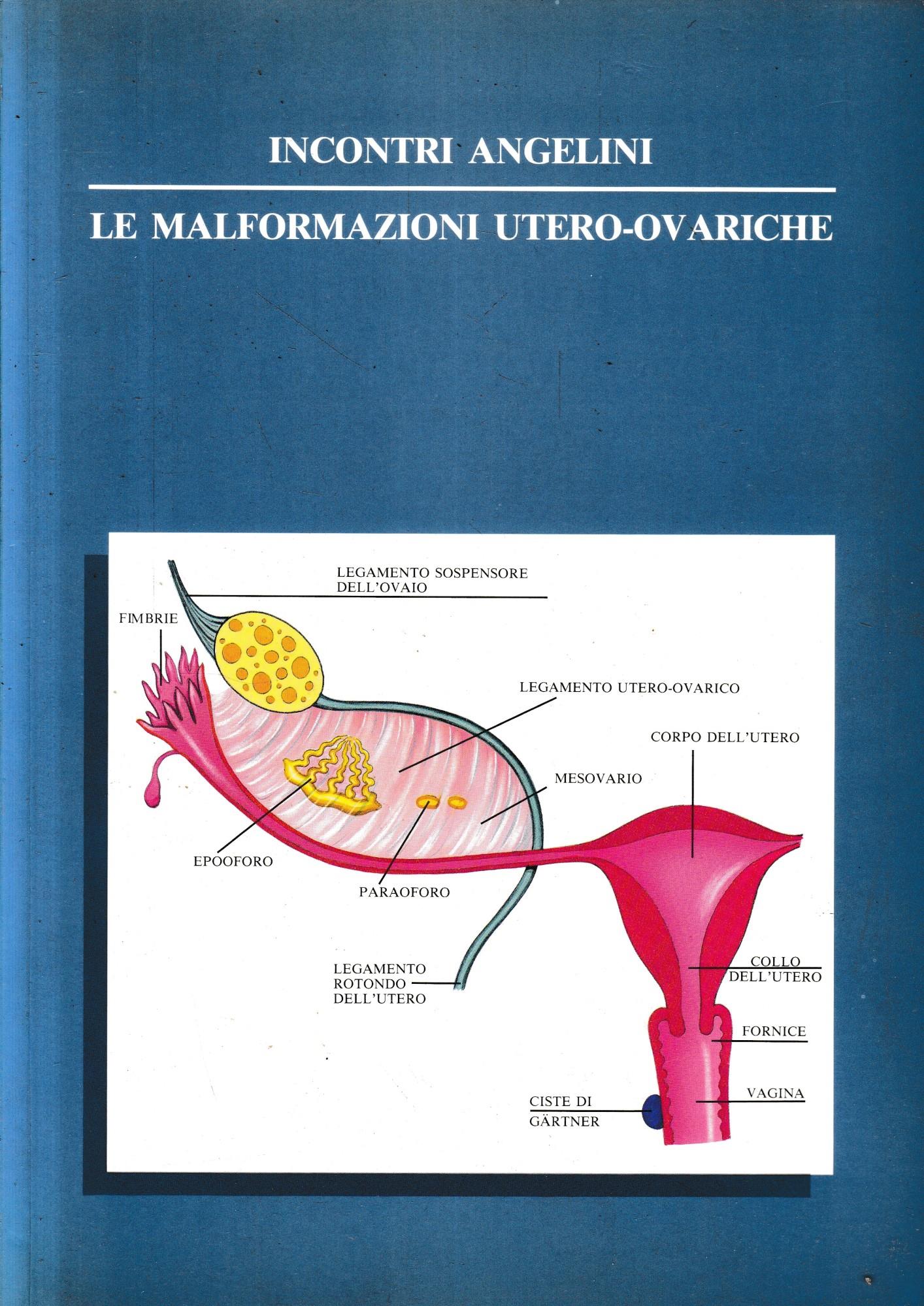 Librisaggi
