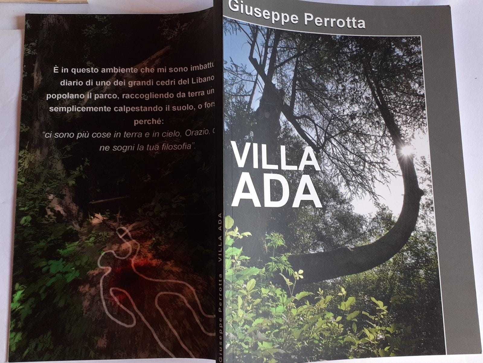 Librisaggi