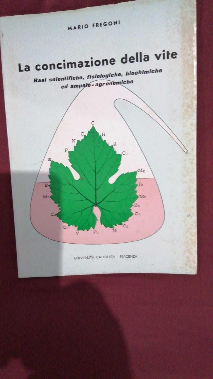 concimazione della vite