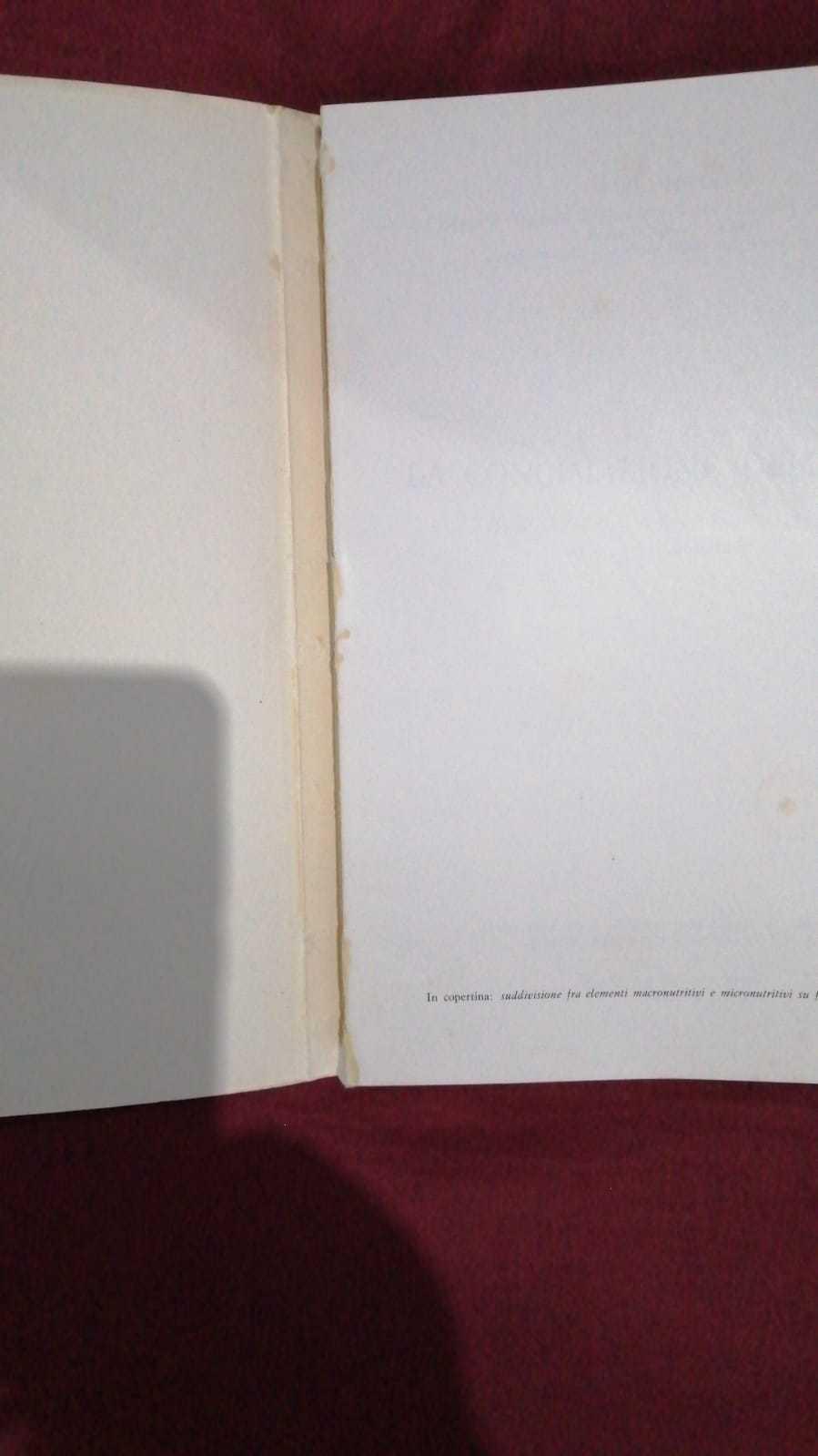 concimazione della vite