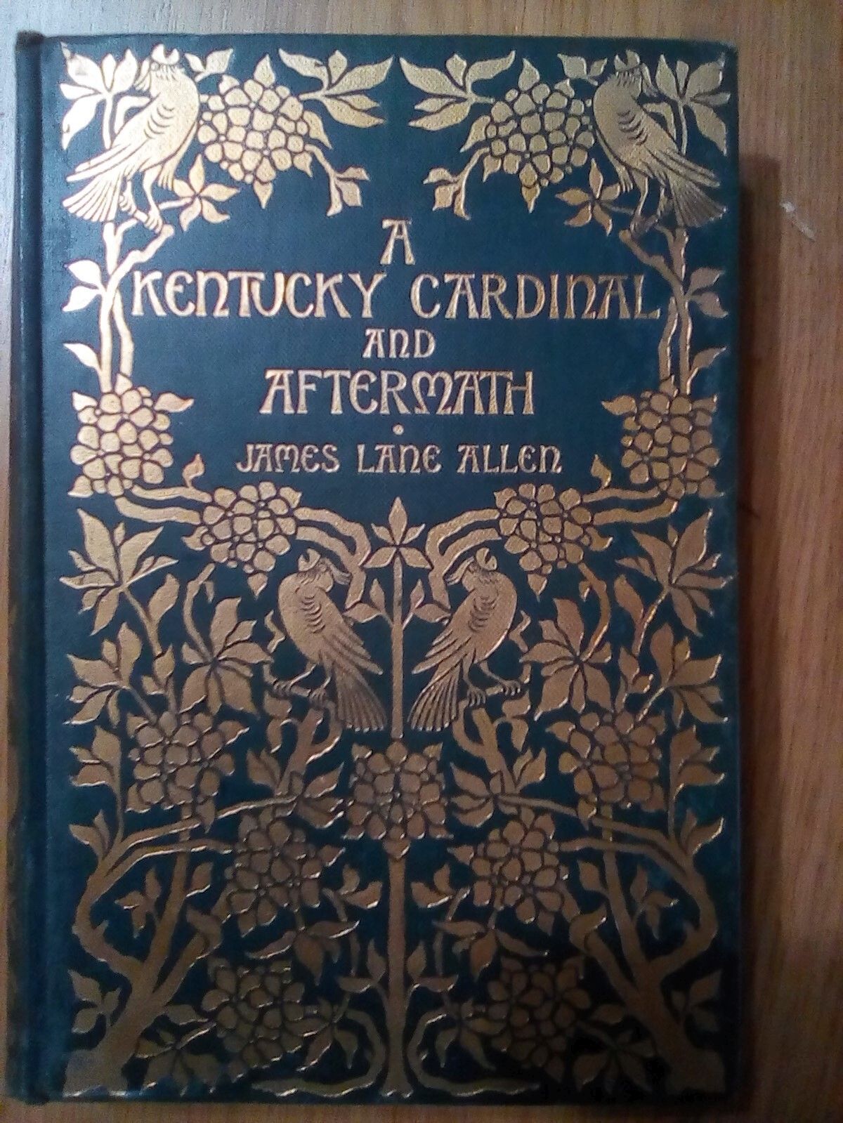 Libreria del Professore