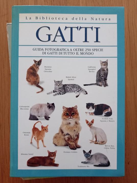 Gatti - copertina