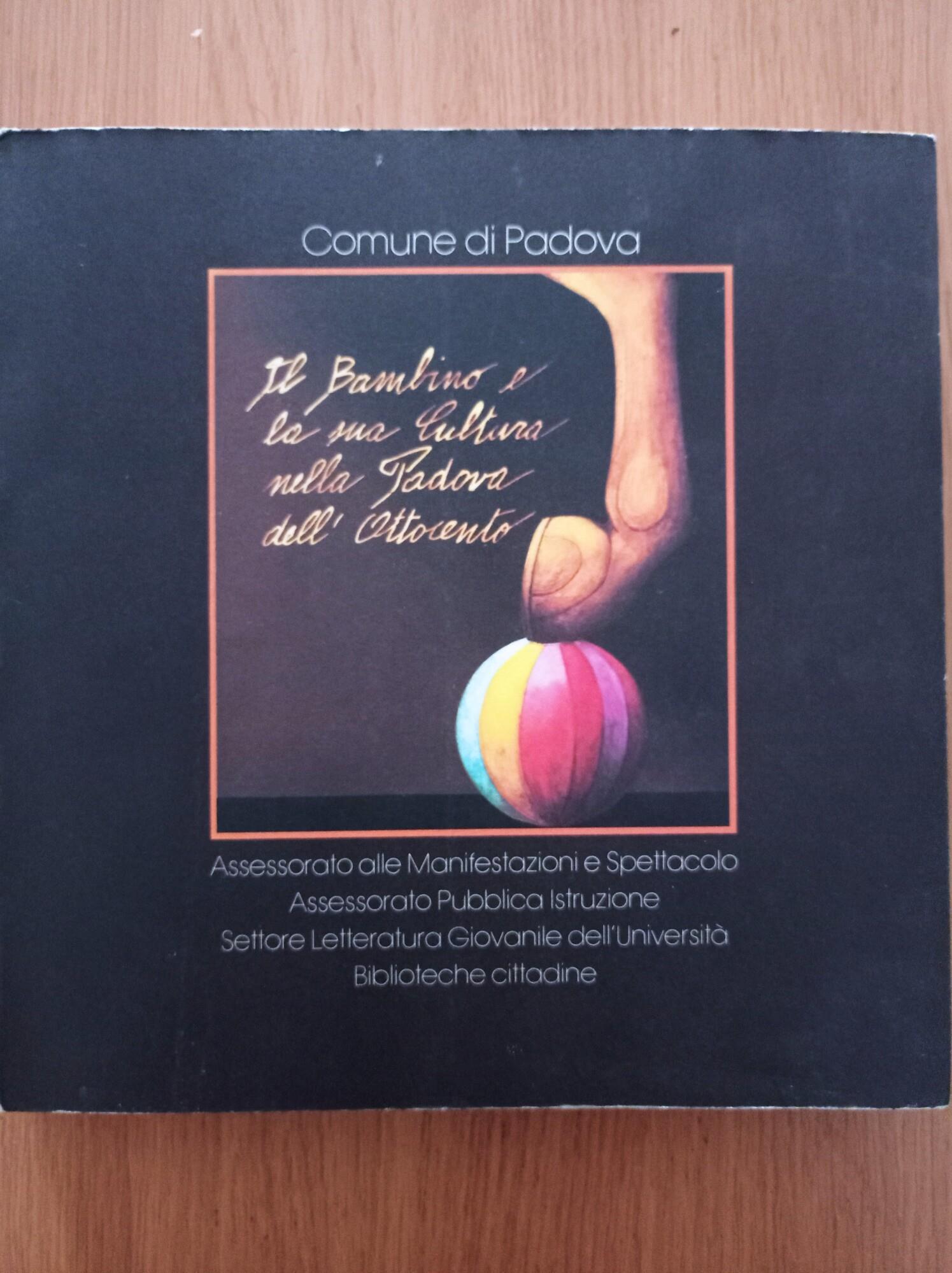 Il bambino e la sua cultura nella Padova dell'Ottocento