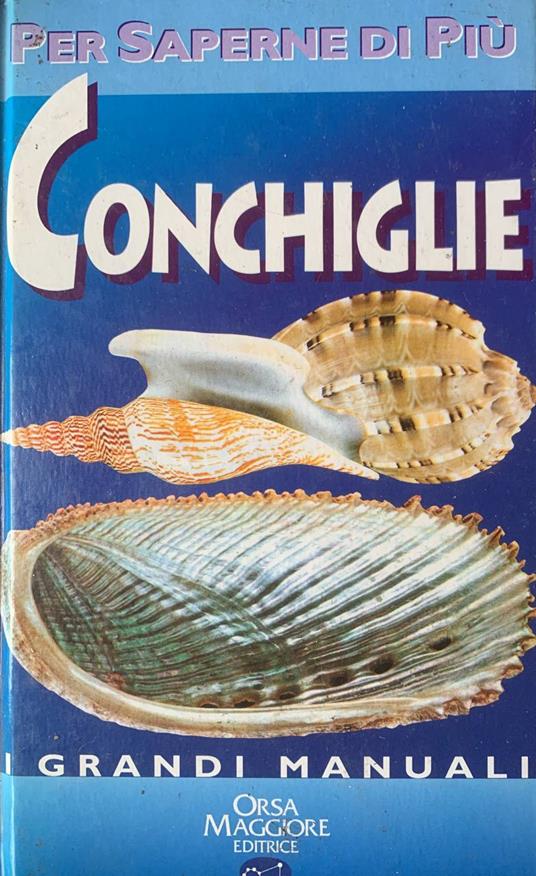 Conchiglie - Bruno Sabelli - copertina