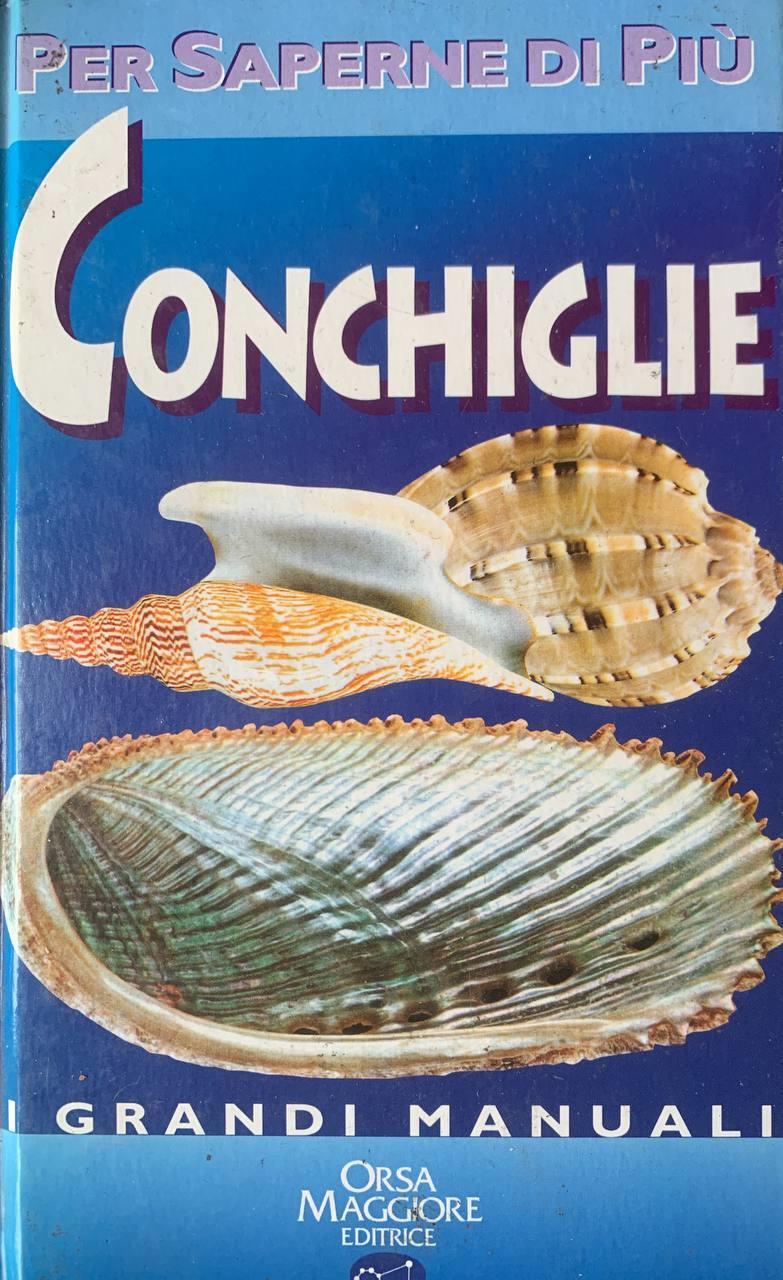 Conchiglie