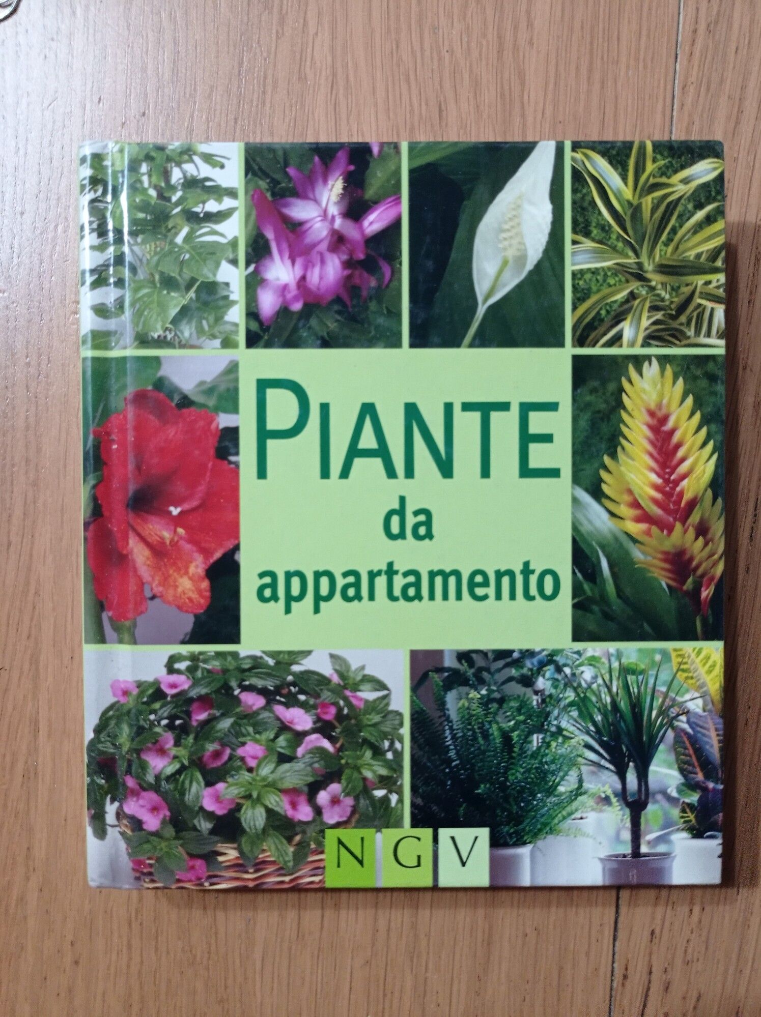 Libreria del Professore