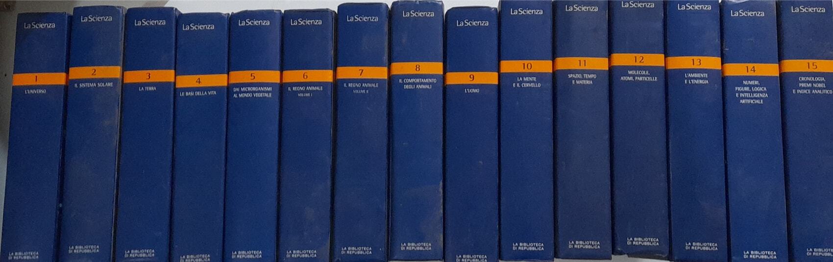 Librisaggi
