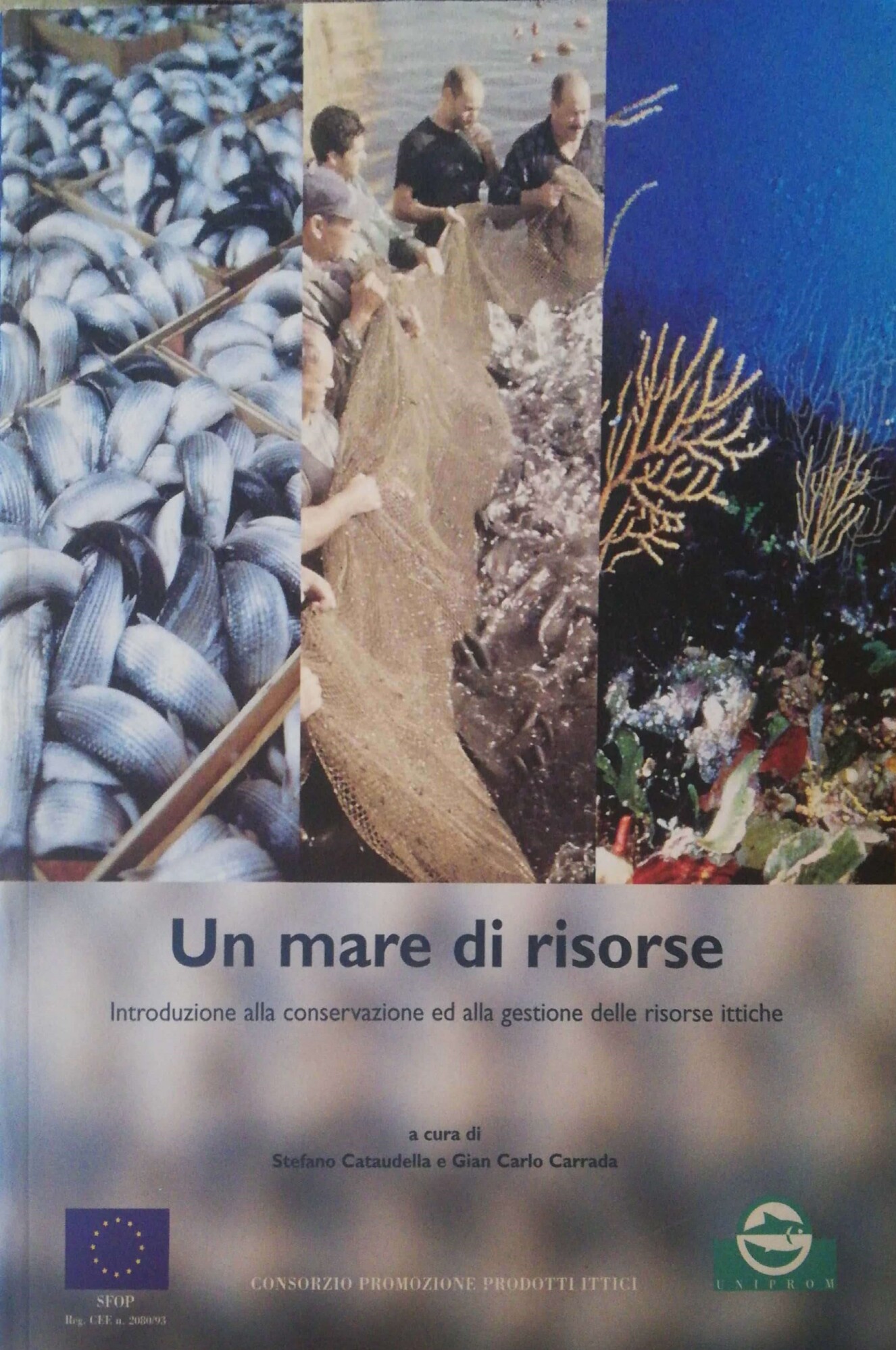 Librisaggi