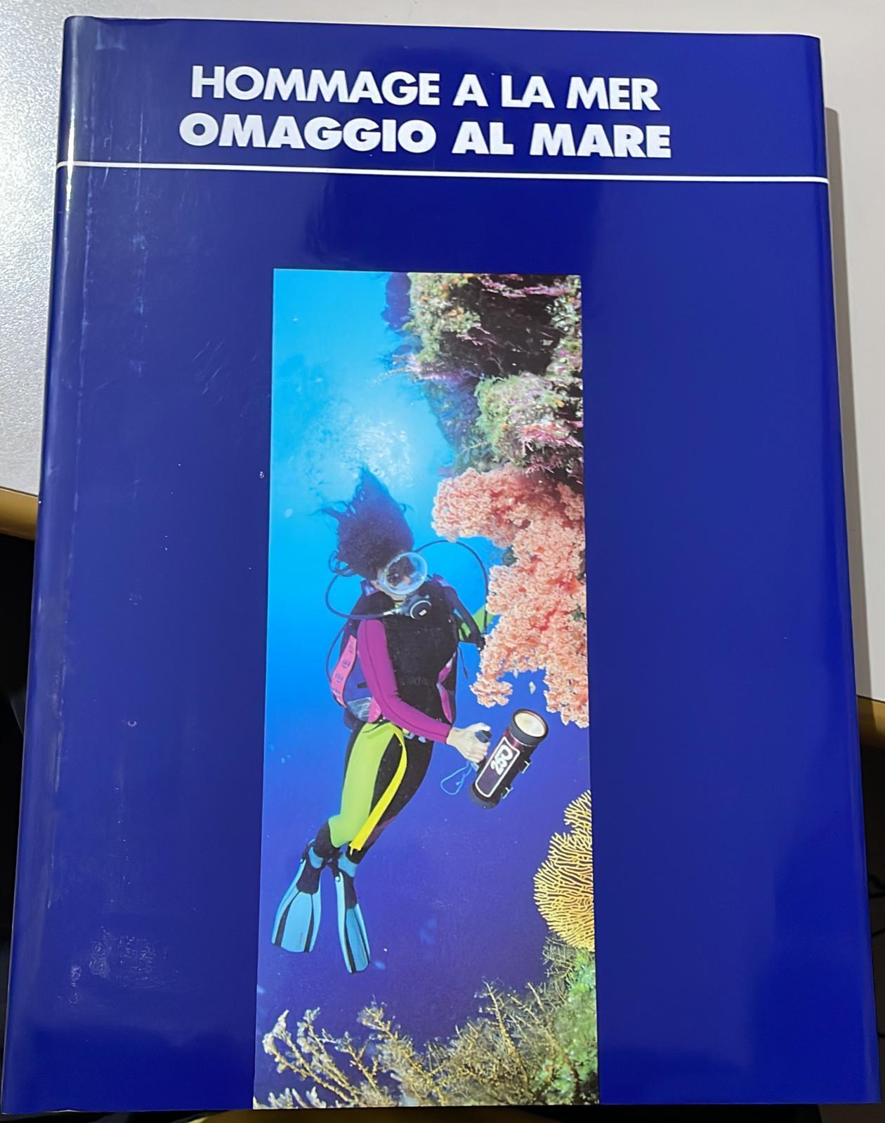 Librisaggi