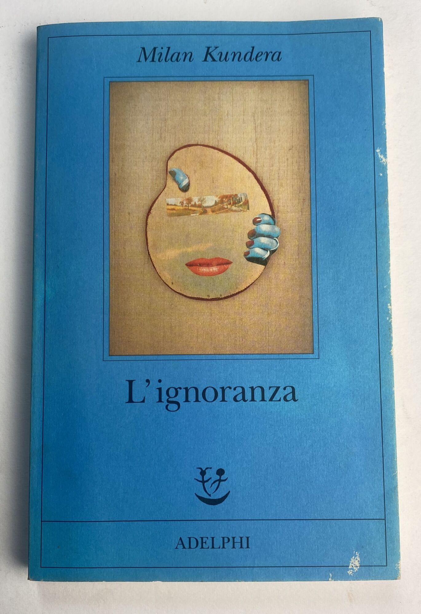 Librisaggi
