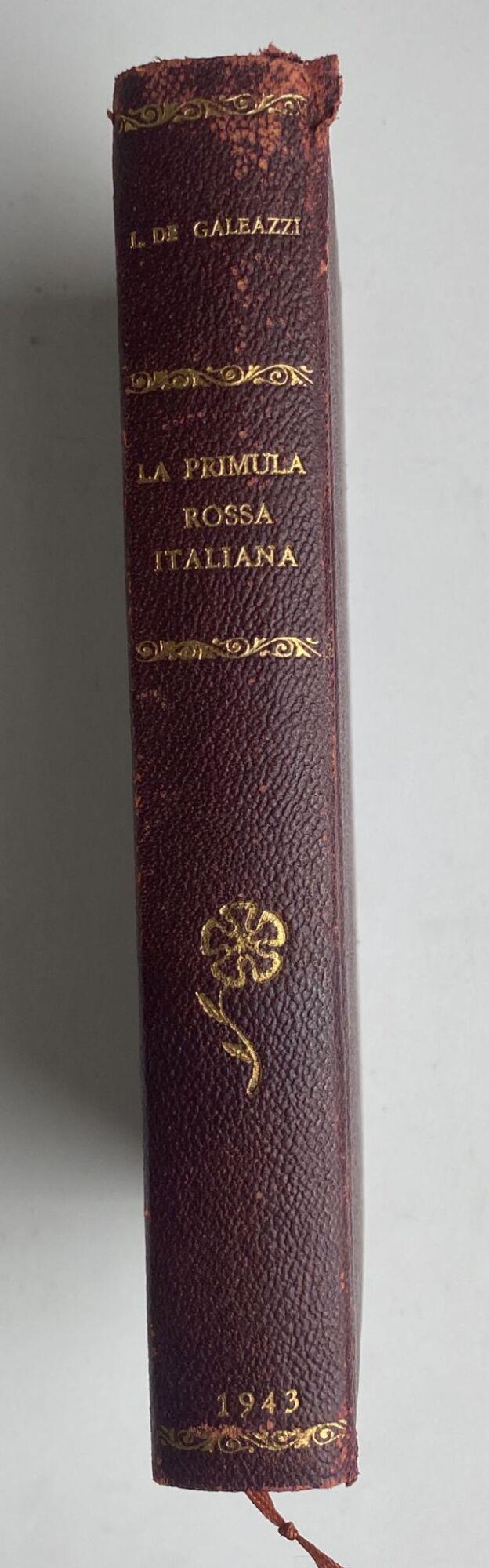 La nostra Primula Rossa