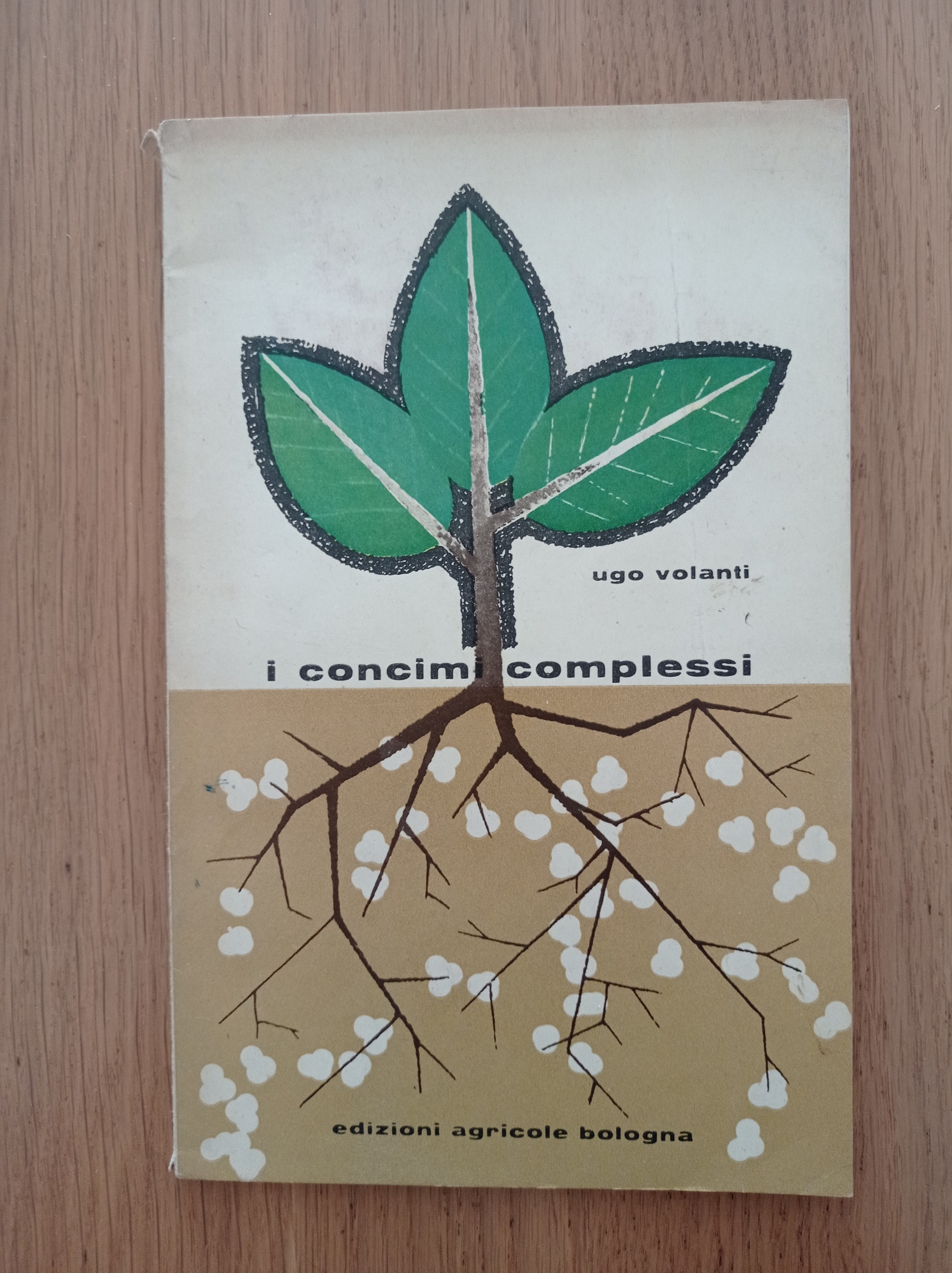 Libreria del Professore