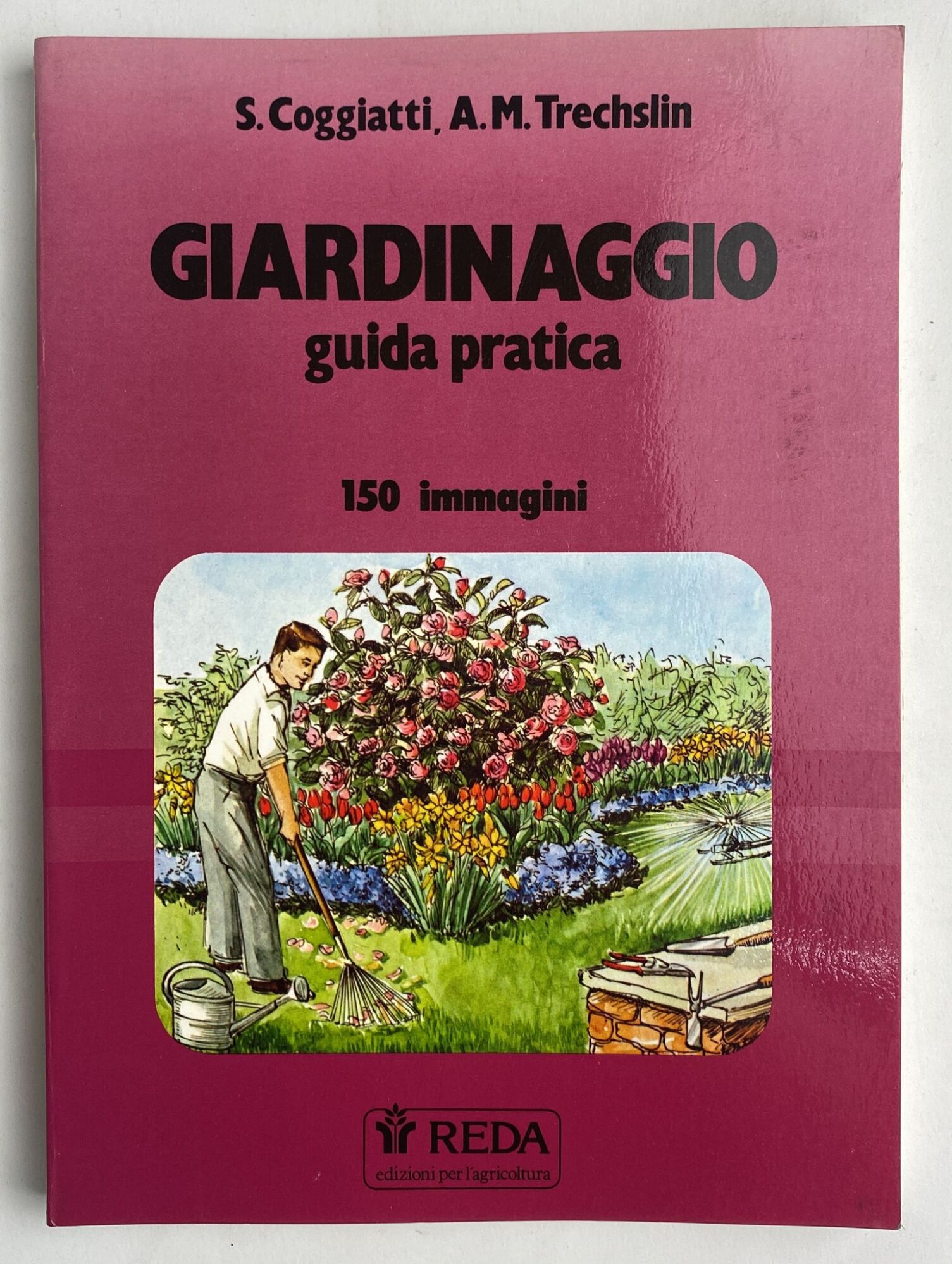 Librisaggi